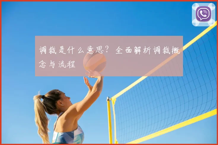 调裁是什么意思？全面解析调裁概念与流程