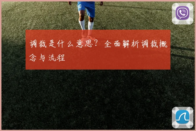 调裁是什么意思？全面解析调裁概念与流程