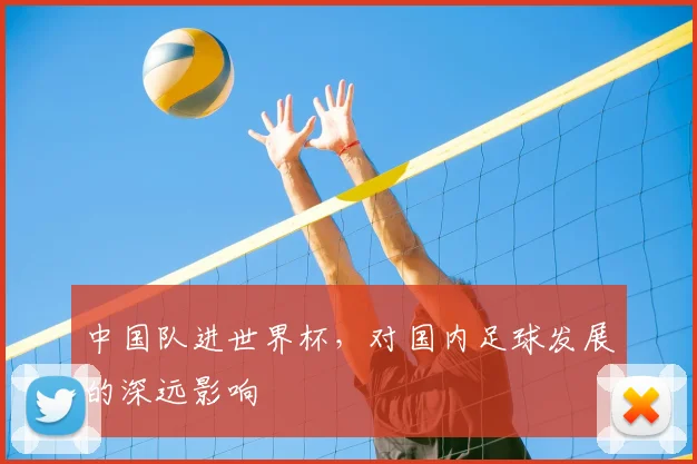 中国队进世界杯,对国内足球发展的深远影响